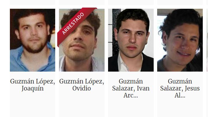 Así iniciaron los Chapitos en el mundo del narcotráfico y en el cartel de Sinaloa que dirigía su padre Joaquín el Chapo Guzmán