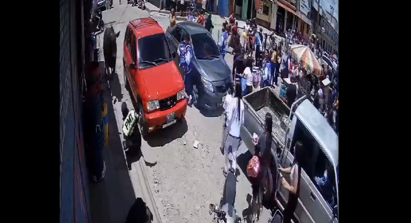 Toro se escapa del rastro de Zaragoza, Chimaltenango, embiste a un PMT y causa pánico en el municipio