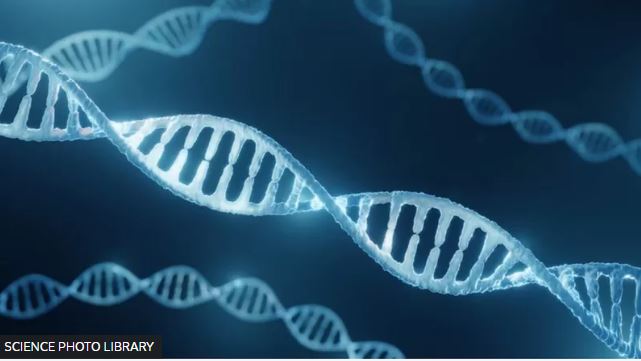 Cómo DeepMind, la inteligencia artificial de Google, está acelerando la identificación de genes que causan enfermedades