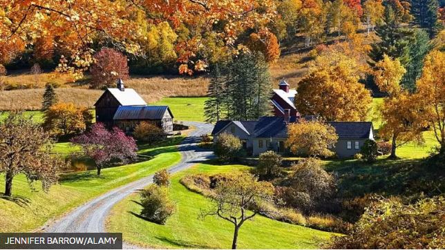 El pueblo de EE.UU. que se rebeló contra la avalancha de influencers que buscaban la foto perfecta de sus bosques otoñales
