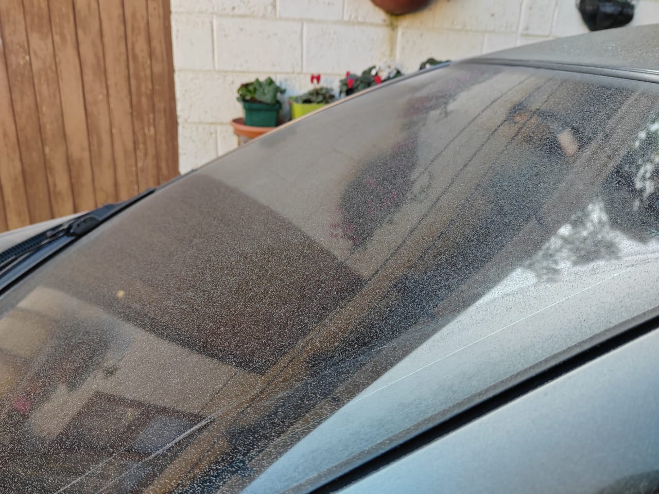 CAÍDA DE CENIZA EN XELA