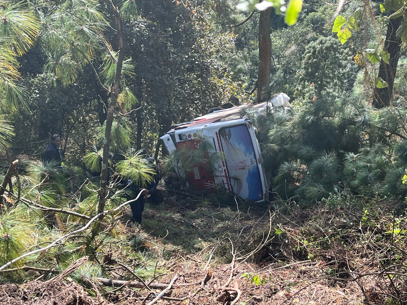 Bomberos reportan que una pullman se accidentó en km 166 de la ruta Interamericana y hay pasajeros heridos y fallecidos