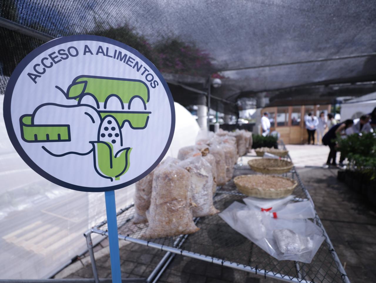 Guatemaltecos por la Nutrición atenderá a más de dos mil menores en situación de desnutrición