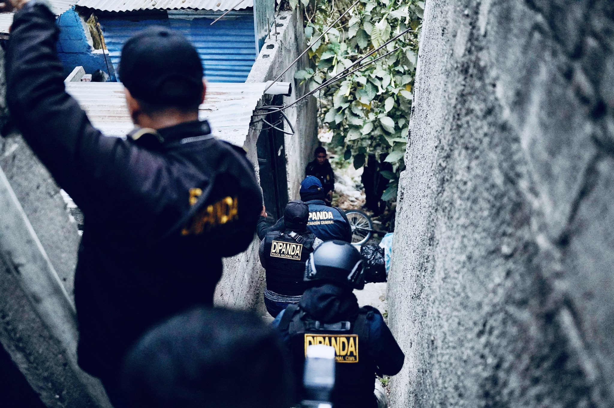 Fuerzas de seguridad buscan armas y a presuntos extorsionistas en 81 allanamientos