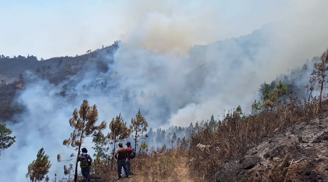 Biotopo del Quetzal está amenazado por voraz incendio