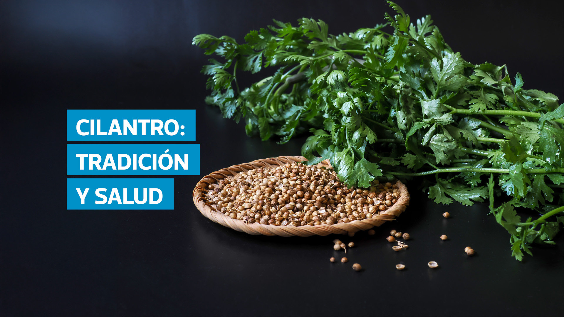 El cilantro, conocido también como culantro, se consume en distintas formas en Guatemala. Nutricionistas resaltan que aporta vitaminas, minerales y antioxidantes que fortalecen la salud, mientras que investigadores recuerdan que el zamat, variedad nativa, es parte esencial de la gastronomía tradicional como el kaq’ik y el chojín bataneco.