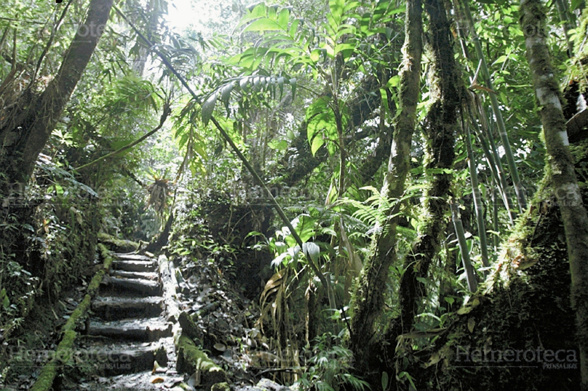 Biotopo del Quetzal en Baja Verapaz. (Foto: Carlos Sebastián 2010)
