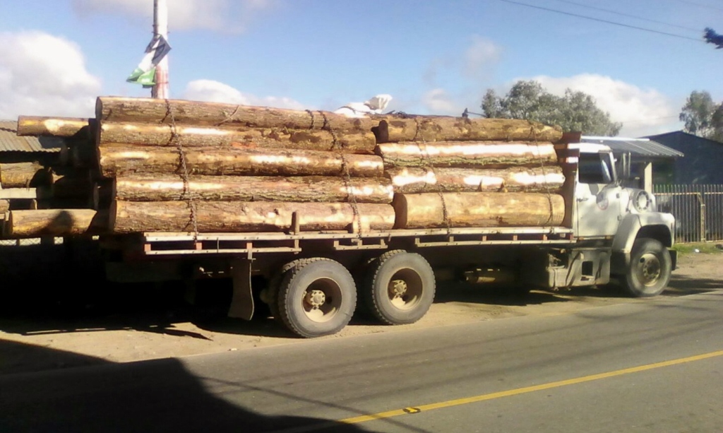 Madera que le fue decomisada a Marco Alemán, en Santa Cruz del Quiché. (Foto Prensa Libre: Óscar Figueroa).