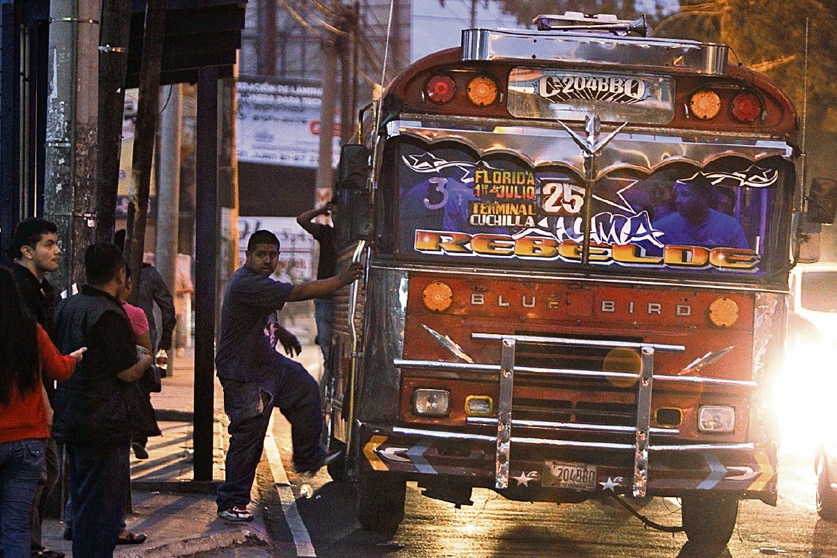 Los buses rojos, propiedad de Asopagua, llevarán una calcomanía que anuncia la continuidad del pasaje gratuito para los adultos mayores. (Foto Prensa Libre: Paulo Raquec)