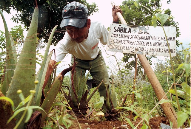 Desde la perspectiva maya, las enfermedades pueden ser causadas por las malas energías, los enojos, embrujos, envidias o malas prácticas. (Foto Prensa LIbre: Hemeroteca PL)