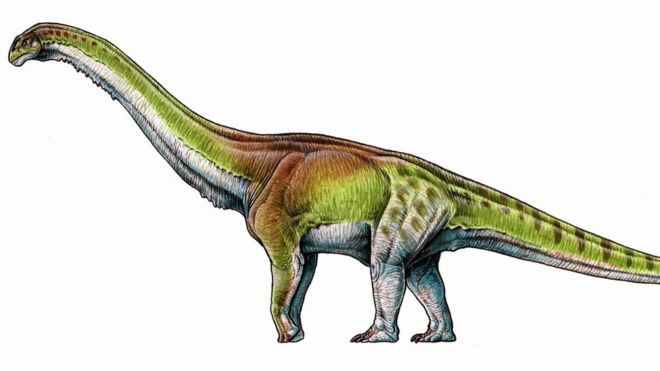 Los fósiles del 'Patagotitan mayorum' fueron encontrados desde finales de 2012 en la región de la Patagonia de Argentina. G. LIO/PA WIRE