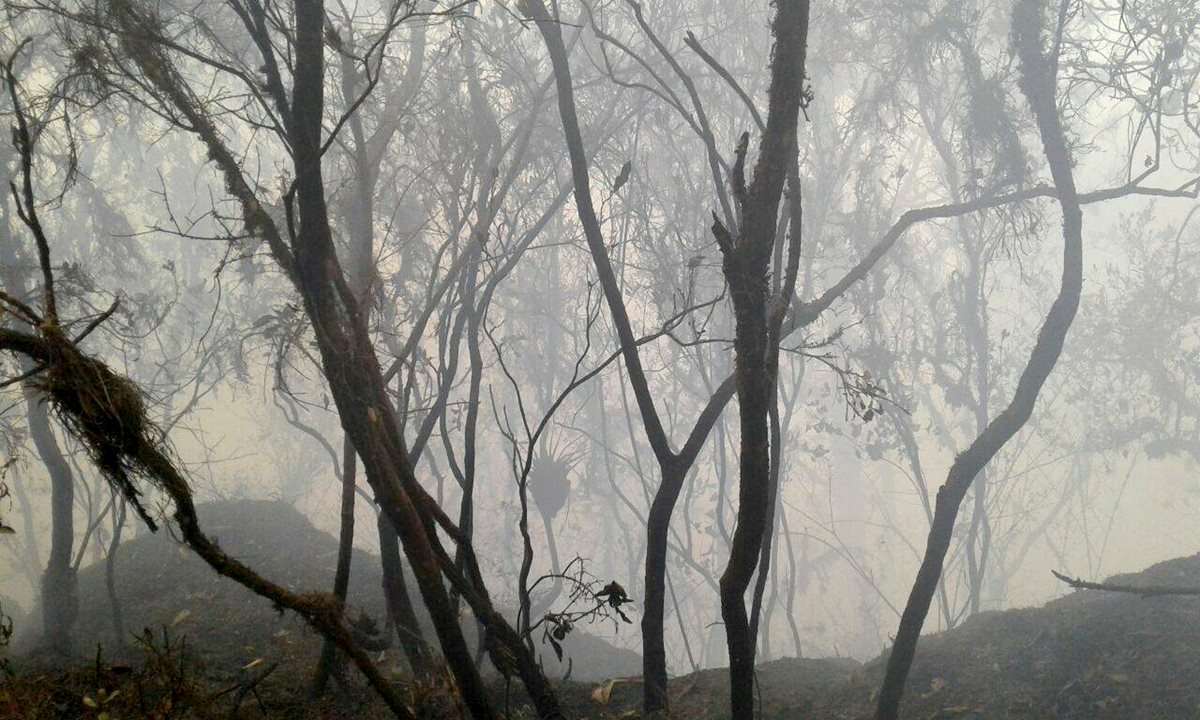 Una de las áreas donde se registra en incendio en La Libertad, Huehuetenango. (Foto Prensa Libre: Mike Castillo).