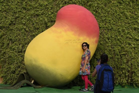 Advertencia para los fanáticos del mango: ¡el mango de la foto no es de verdad! GETTY IMAGES