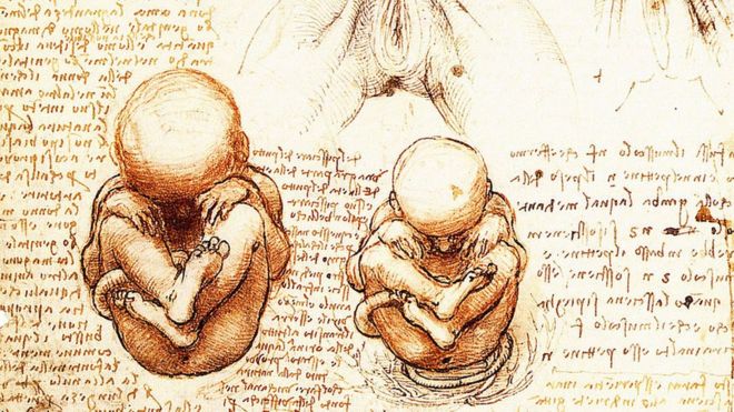 Ni siquiera Leonardo da Vinci pudo develar ese gran misterio. DOMINIO PÚBLICO