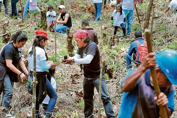 Familias completas plantan árboles en bosque nuboso de Purulhá, Baja Verapaz. (Foto Prensa Libre: Pamela Saravia)