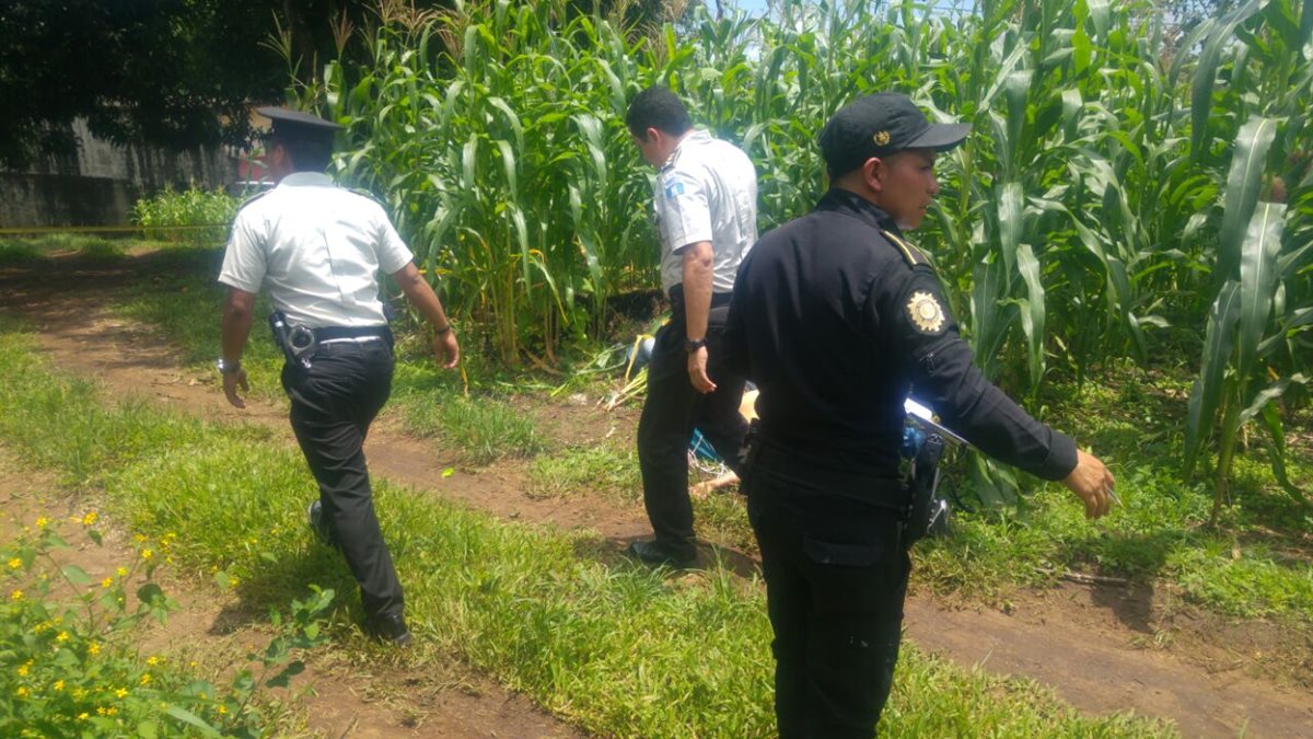 Uno de los cadáveres fue encontrado entre cañaverales.