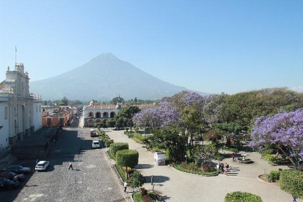 El paisaje urbano de Antigua se enriquece  cuando los árboles de jacaranda florecen.