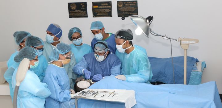 La disección de cadáveres sigue siendo fundamental en la enseñanza de la medicina. (Fotografías: Harry Díaz).