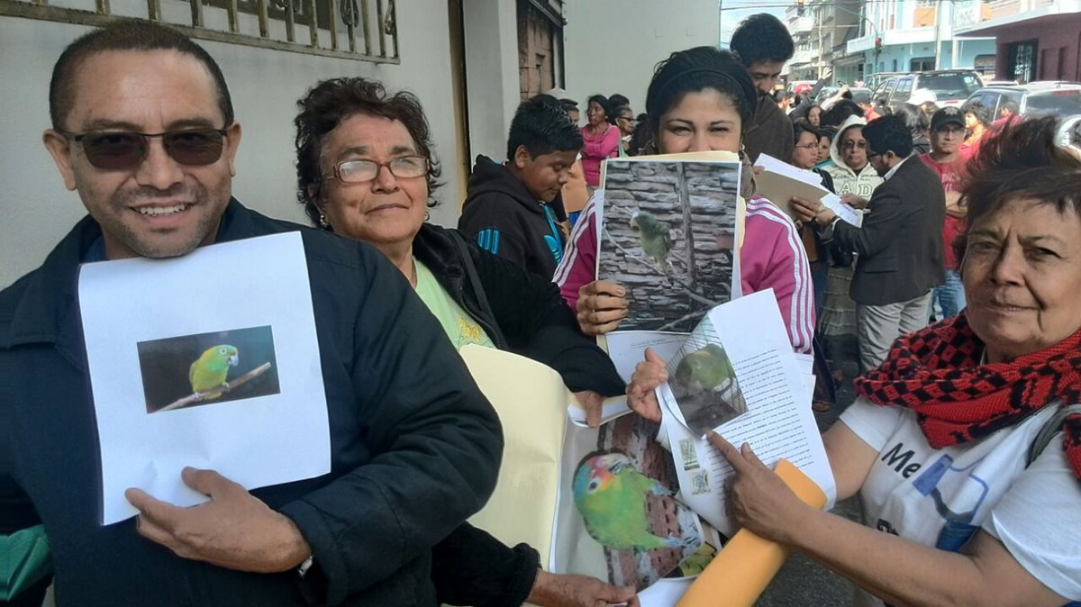 Decenas de personas esperan hasta seis horas para realizar el registro de sus mascotas en Conap. (Foto Prensa Libre: Estuardo Paredes)