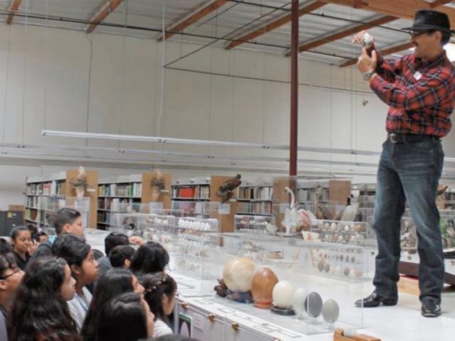 René Corado muestra algunos huevos de la colección del museo.