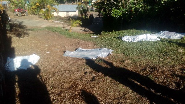 Los cuerpos de siete personas de una misma familia fueron asesinados en Guerrero. (Foto Prensa Libre: EFE)