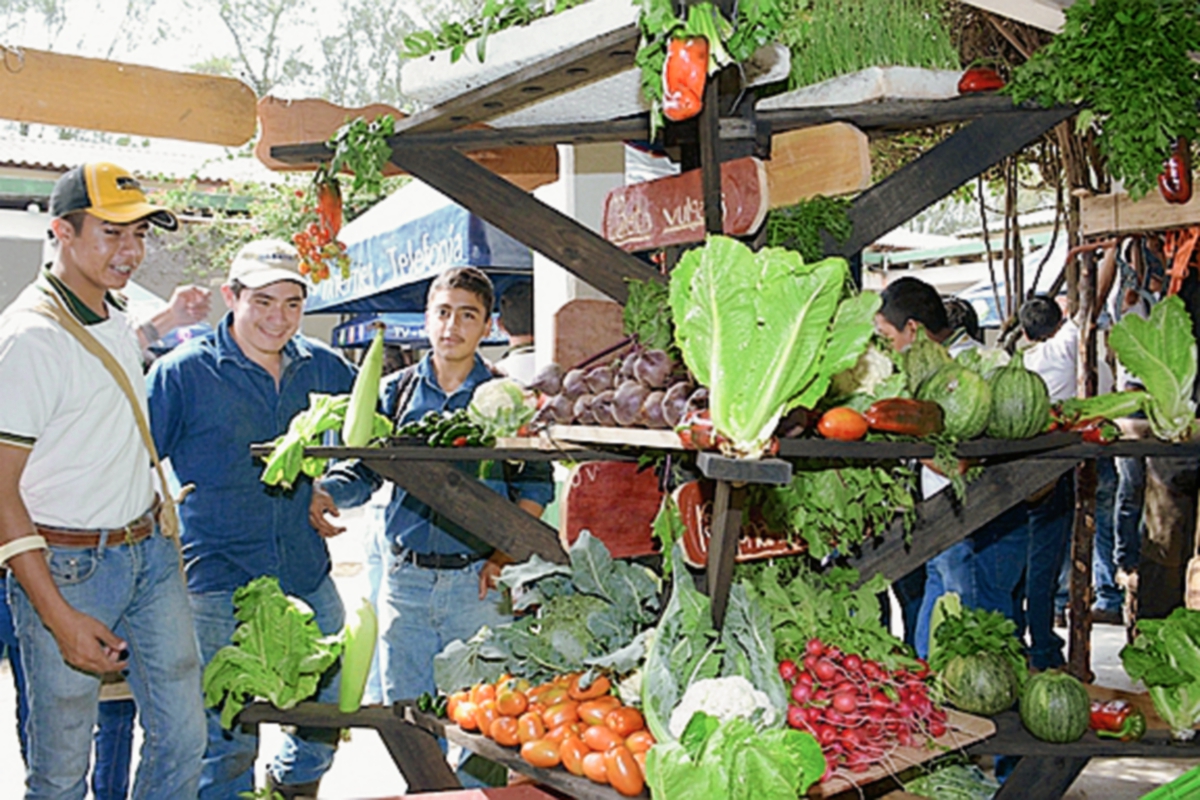 Alumnos de los primeros años del ENCA organizaron feria agropecuaria para poner en práctica los conocimientos adquiridos. (Foto Prensa Libre: Cortesia Maga)