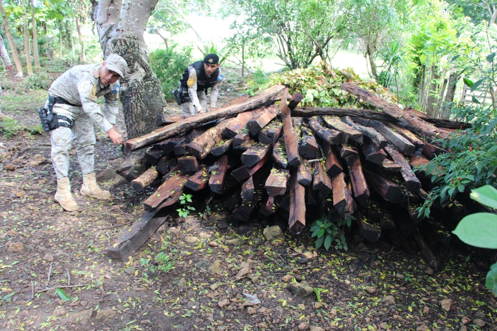 Madera decomisada en uno de los inmuebles allanados en Sayaxché, Petén. (Foto Prensa Libre: Rigoberto Escobar).