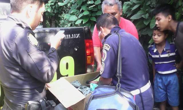 Bomberos, policías y vecinos verifican estado de salud de la bebé abandonada en un cañaveral. (Foto Prensa Libre: Rolando Miranda)