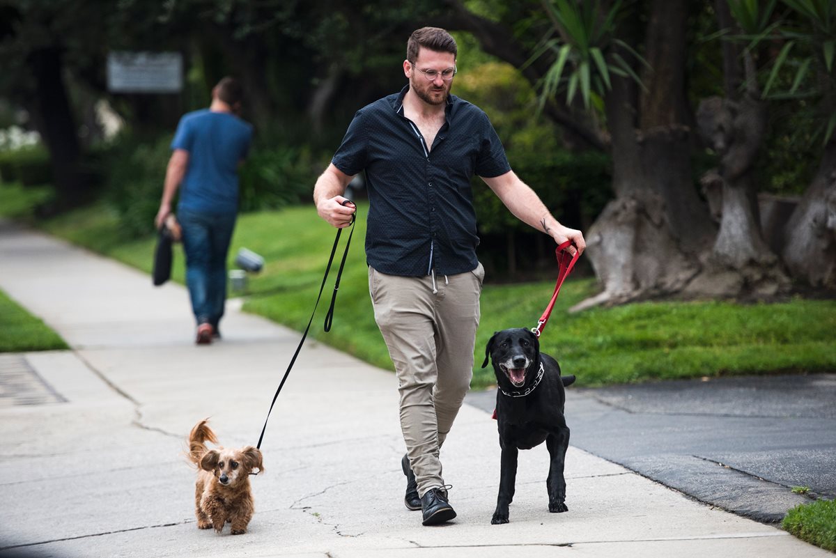 Brett Hartman camina con sus perros Cayley y Brutus. (Foto Prensa Libre: AFP)