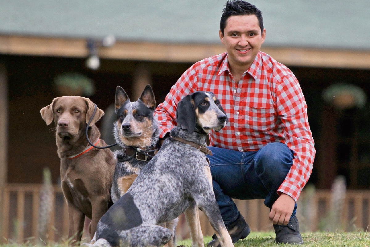 Érick Cruz muestra los trucos que puede hacer la pequeña Fibi, la chihuahua que le abrió el mundo canino y con la cual  viajó a Miami para participar en un curso de César Millán.