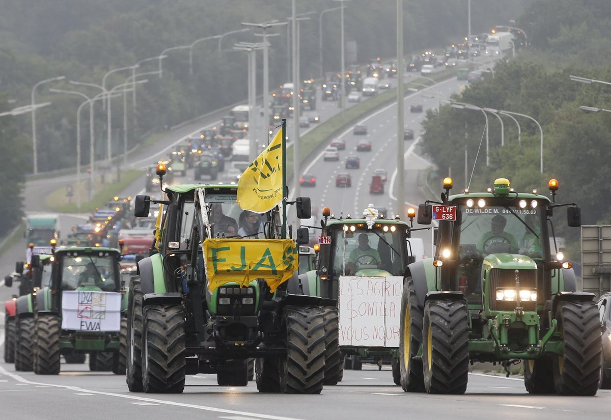 Lecheros de Europa reclaman ayuda ante bajos precios de producción. (Foto Prensa Libre: EFE)