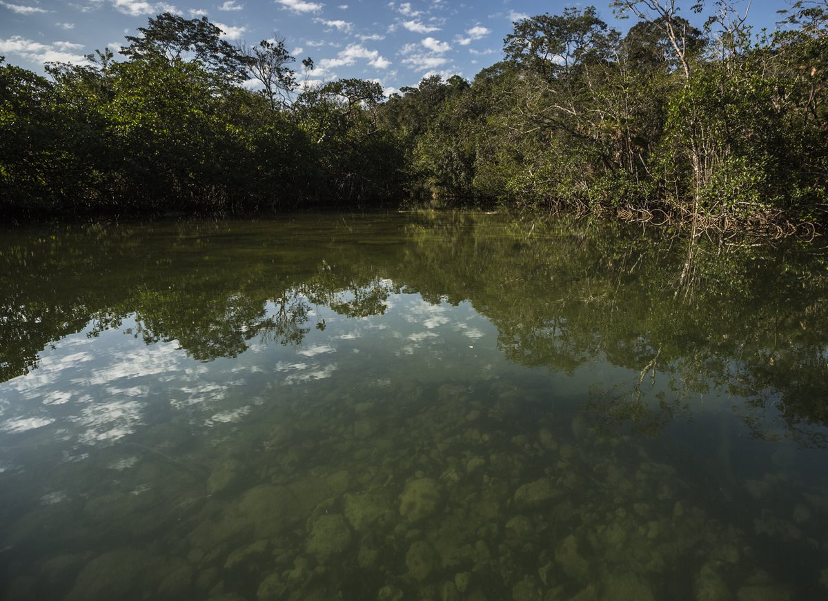 Bocas del Polochic es un área protegida localizada en El Estor, con diversidad de ecosistemas terrestres y los humedales.