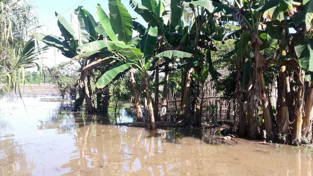 Una de las comunidades anegadas por el desborde del río Salinas, en Sayaxché, Petén. (Foto Prensa Libre: Rigoberto Escobar)