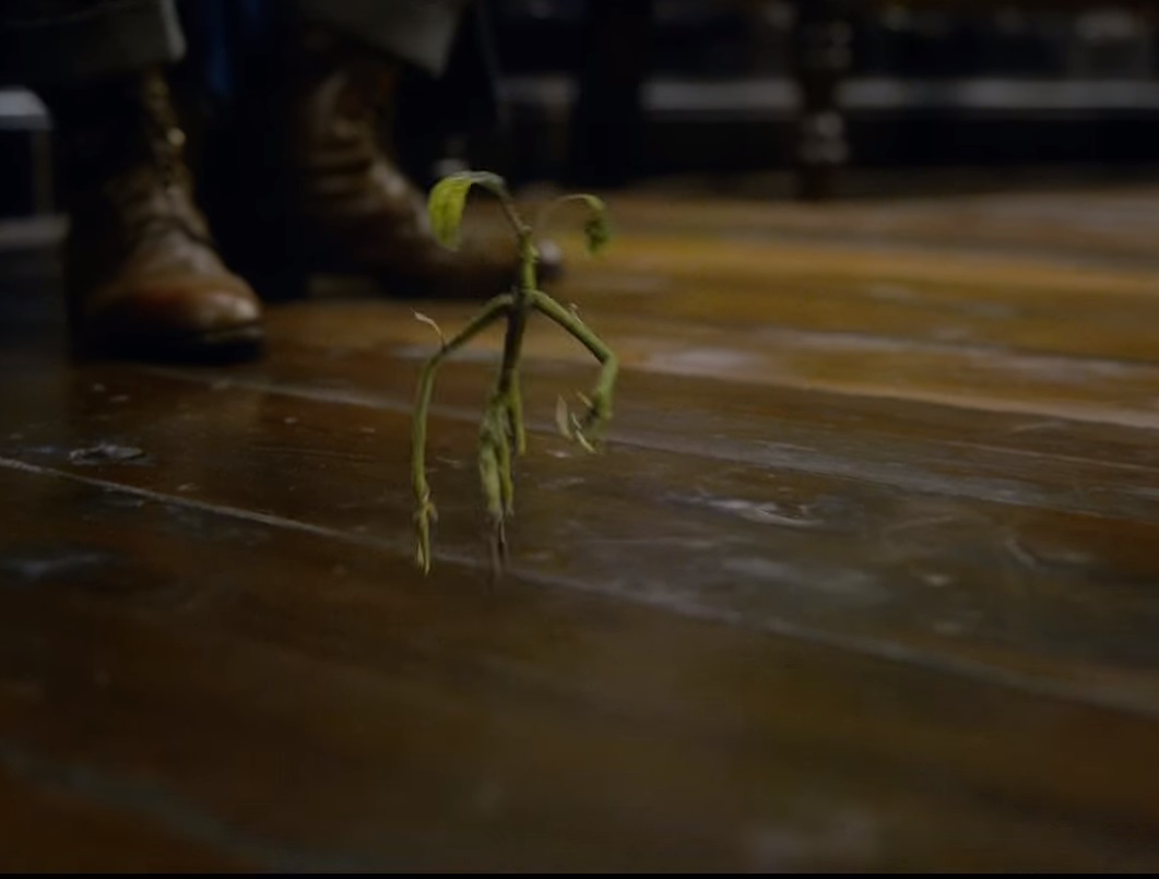 El pequeño Bowtruckle, que encantó a todos en la primera entrega, regresa para ayudar a su amigo Newt