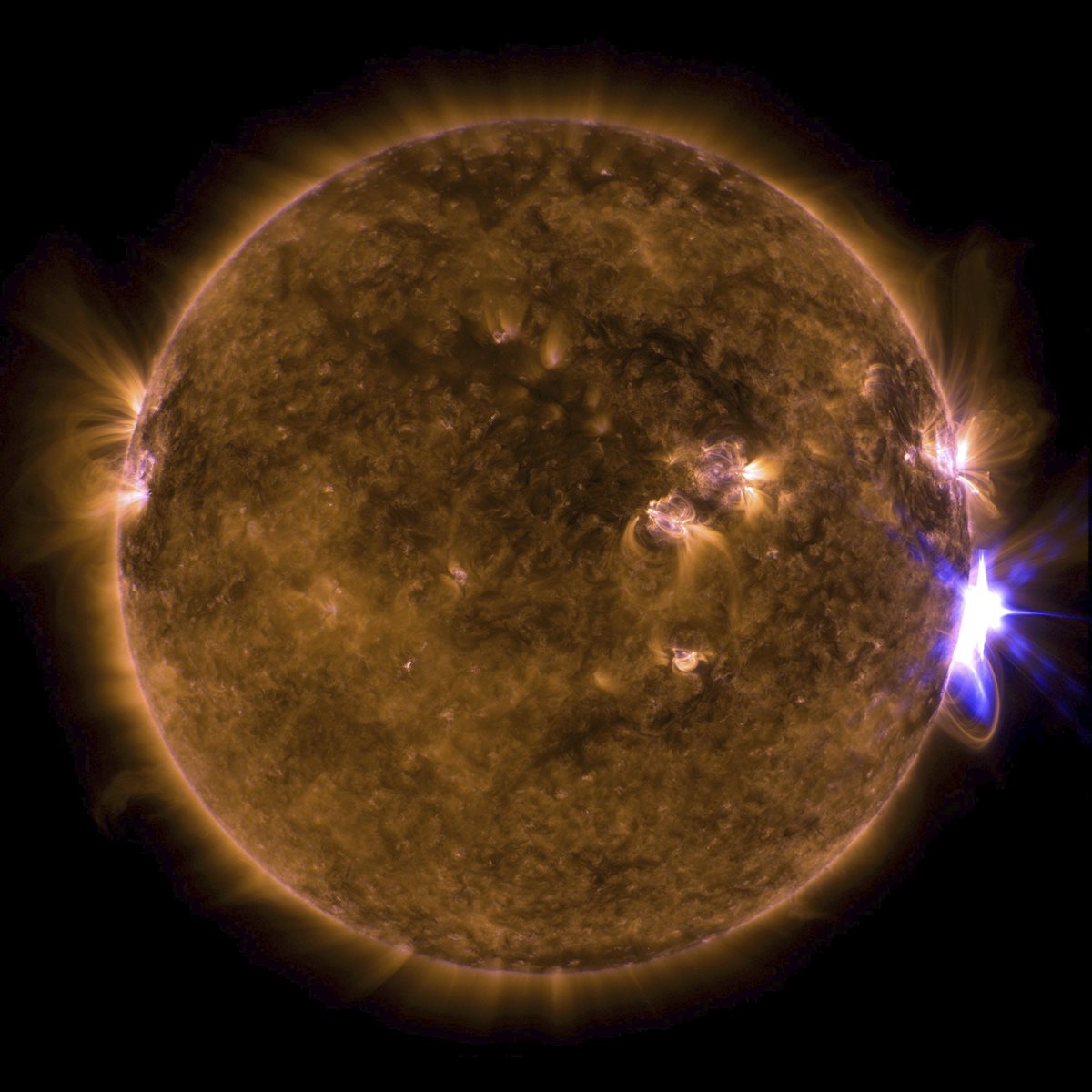 Fotografía de la NASA del 10 de septiembre de 2017 cedida hoy, 12 de septiembre de 2017 que muestra una combinación de longitudes de onda de luz ultravioleta extrema coloreadas en el Sol. (Foto Prensa Libre: EFE)