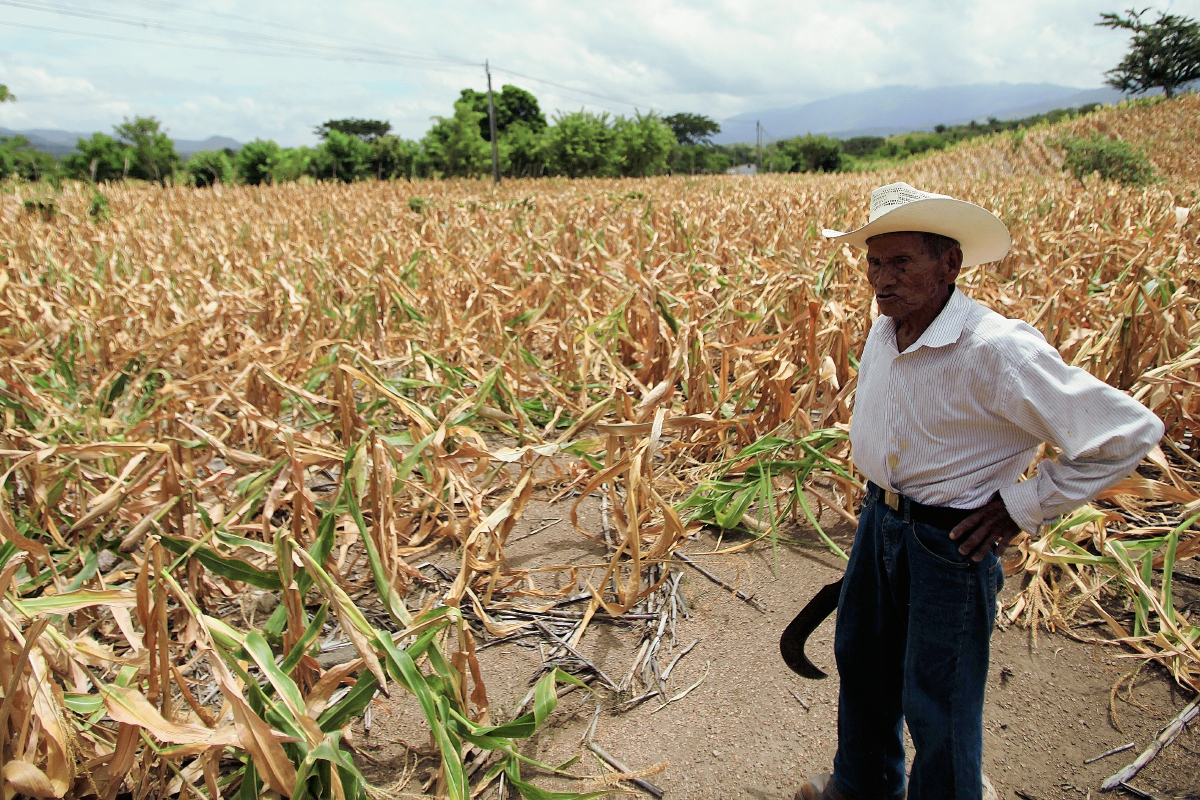 En el 2013 se reportó la disminución del caudal de los ríos en varios departamentos del país por la canícula prolongada, y algunos se secaron. (Foto Prensa Libre: Hemeroteca PL)