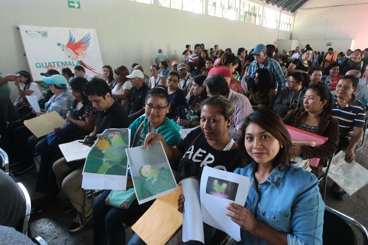 Decenas de personas hacen fila en el parque de la Industria para registrar mascotas exóticas. (Foto Prensa Libre: Conap)