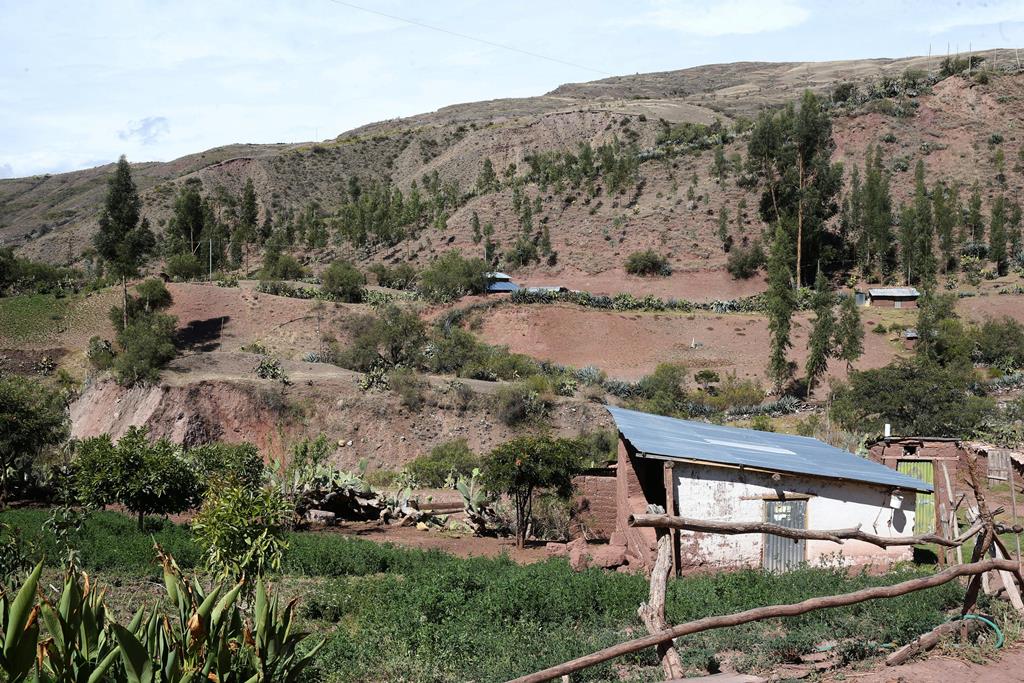 El uso de tierras agrícolas para otros fines, es uno de los problemas. (Foto Prensa Libre: EFE)