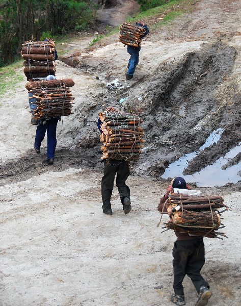 Pobladores del área rural de   Xelajú trasladan leña desde zonas boscosas.