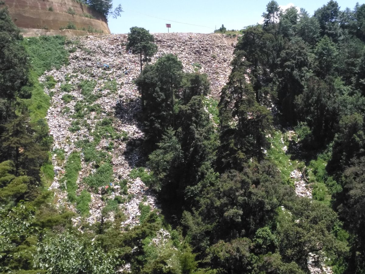 Este año se han localizado varios basureros clandestinos en los alrededores del lago.(Prensa Libre:Ángel Julajuj)