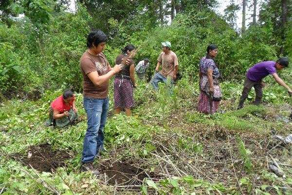 Familias de la cabecera de Chimaltenango   plantan árboles en  bosque comunal.
