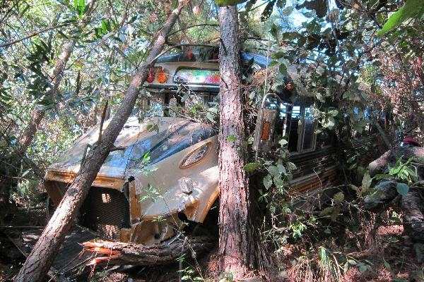 dOS ÁRBOLES impidieron que el autobús se precipitara a  un barranco.