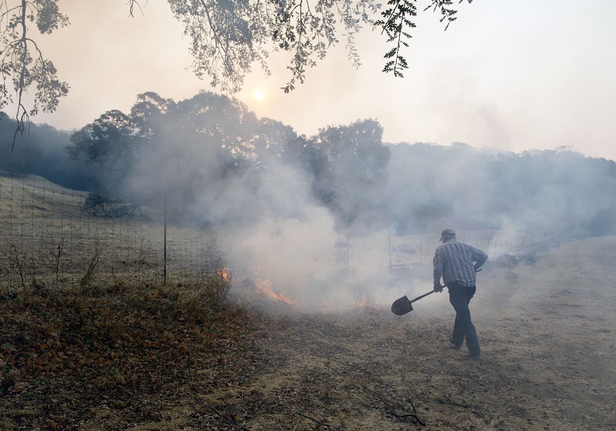 El peor incendio en la historia reciente de California fue en Cedar, en el condado de San Diego en 2003, que destruyó más de 2.800 hogares.