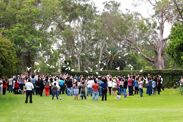 Liberan medio centenar de palomas en el Cementerio Los Parques. (Foto Prensa Libre: Rodrigo Gaytán, Photography)