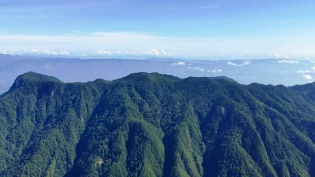 CONAP señala que las fincas El Álamo y La Pasión, talaron ilegalmente unas 22 hectáreas en la Sierra de las Minas. (Foto Prensa Libre: CONAP)