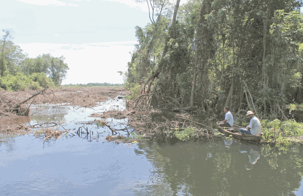 Manglares de Chiquimulilla, Santa Rosa, se encuentran en peligro debido a la contaminación y deforestación. (Foto Prensa Libre: HemerotecaPL)