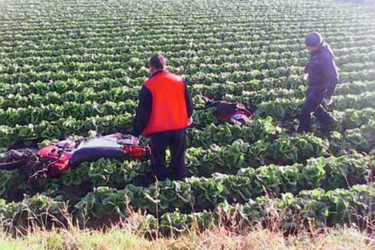 El cuerpo de Miculax quedó entre un sembradillo de lechuga. (Foto Prensa Libre: Víctor Chamalé)