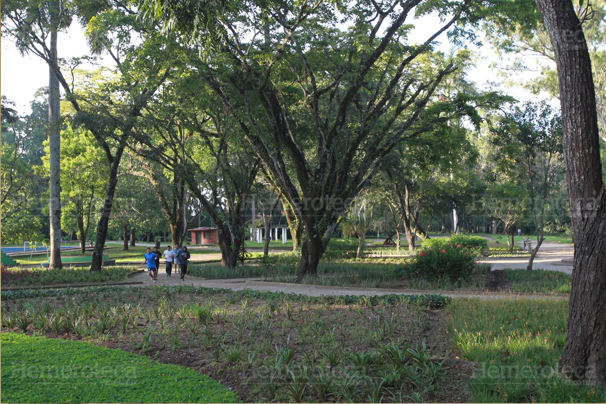 El Hipódromo del Norte un lugar para relajarse sin salir de la ciudad. (Foto: Hemeroteca PL)