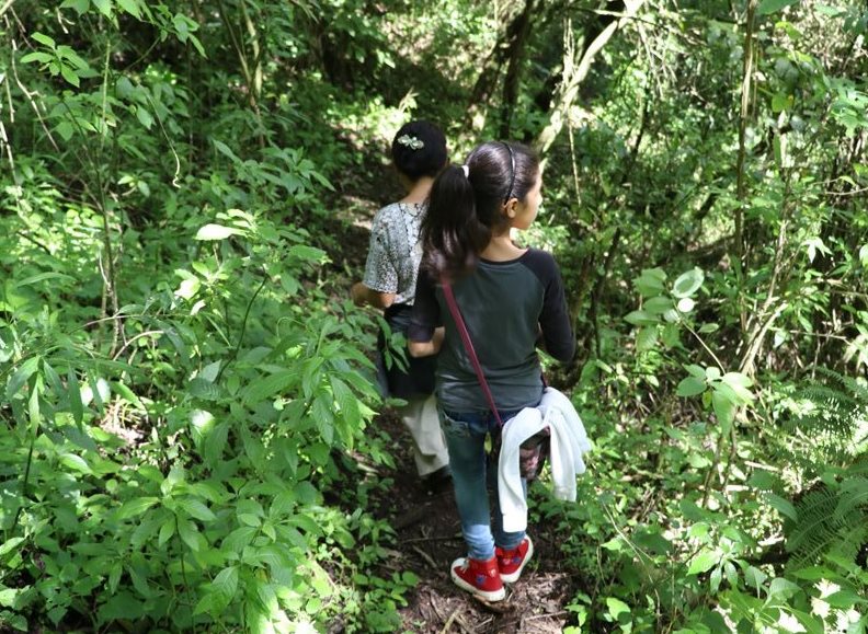 Niños y grandes disfrutan de los paseos en el lugar (Foto Prensa Libre: Renato Melgar)