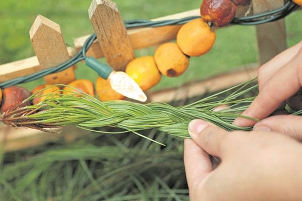 El pino  también es un producto para decorar.